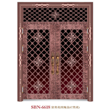 Stainless Steel Door for Outside Sunshine  (SBN-6618)